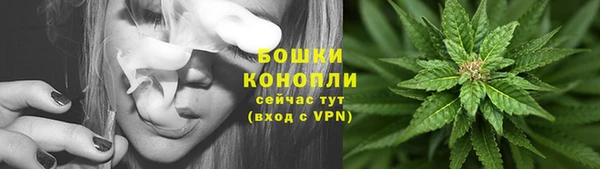 PSILOCYBIN Новодвинск