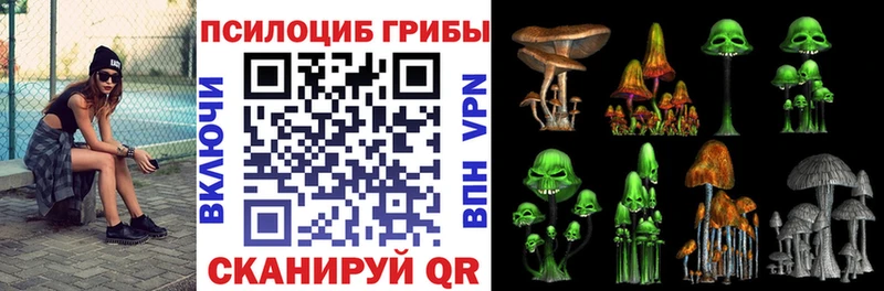 площадка как зайти Чехов Псилоцибиновые грибы Psilocybe